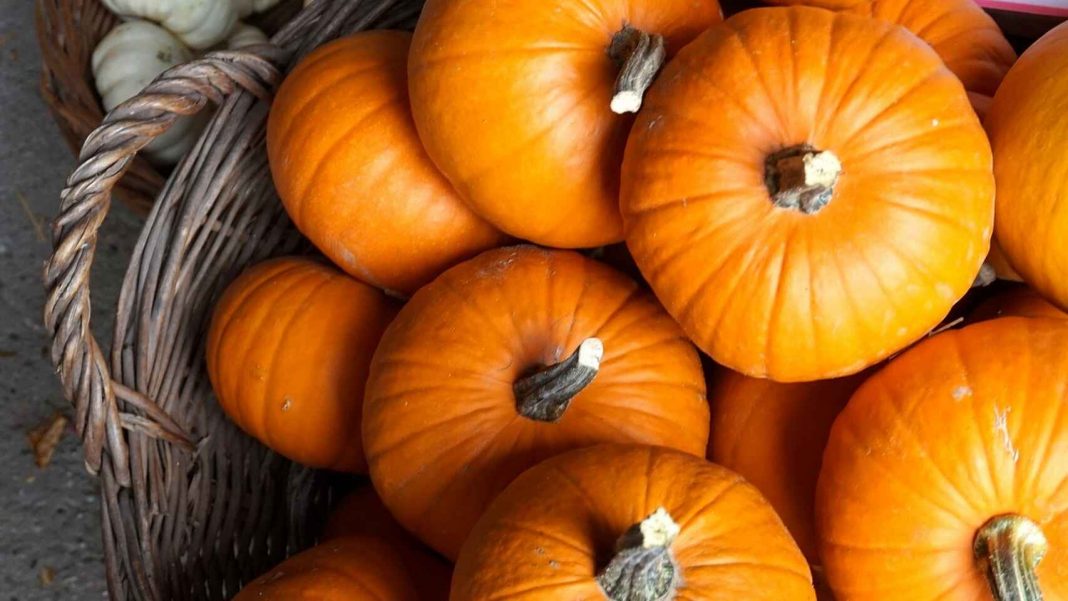 beneficios calabaza