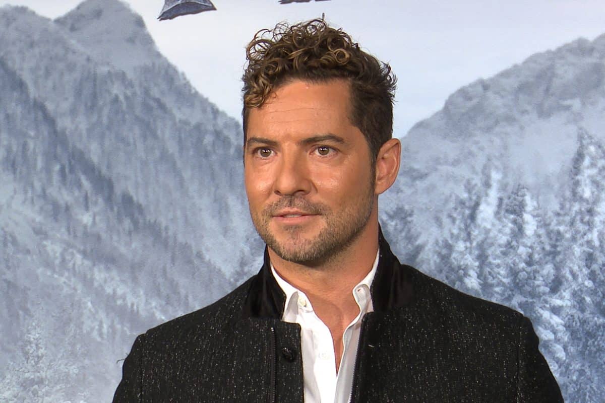 La lección de David Bisbal con su viaje Copenhague