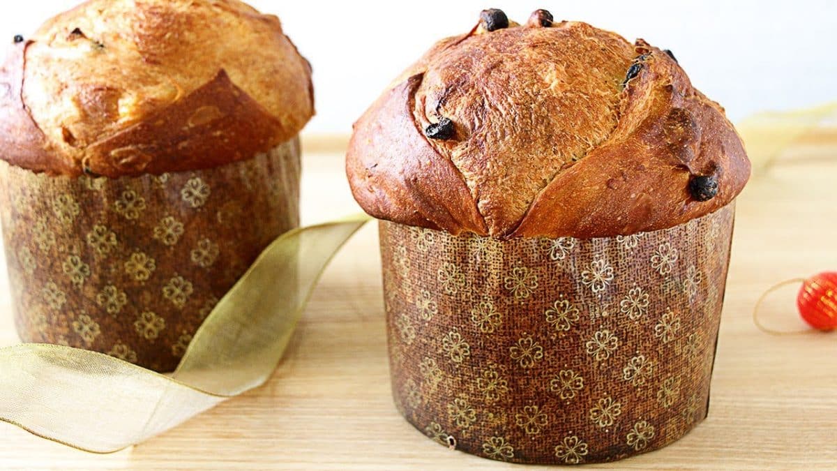 Aprende a hacer un delicioso Panettone casero, fácil y rápido