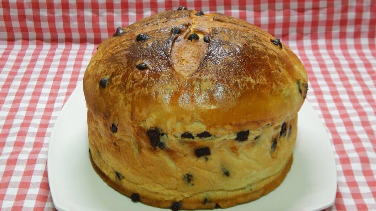 Aprende a hacer un delicioso Panettone casero, fácil y rápido