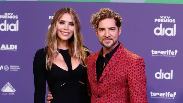 David Bisbal y Rosanna Zanetti