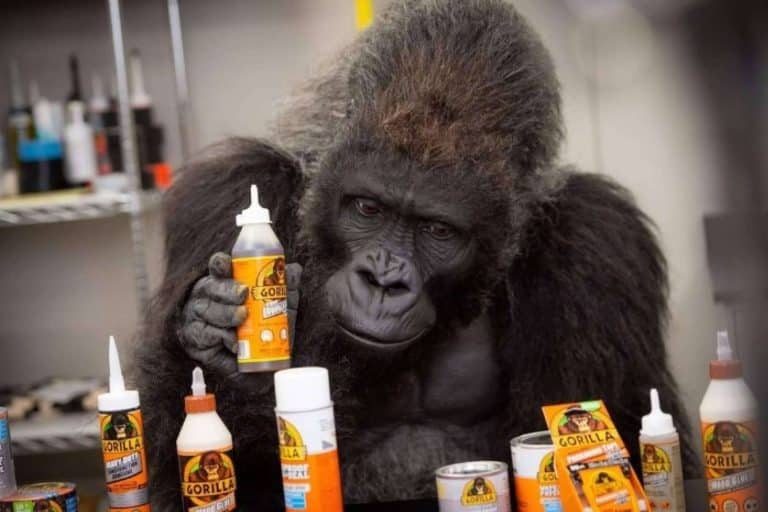 Gorilla Glue participará en la Feria Eurbrico de Valencia presentando su producto Insignia